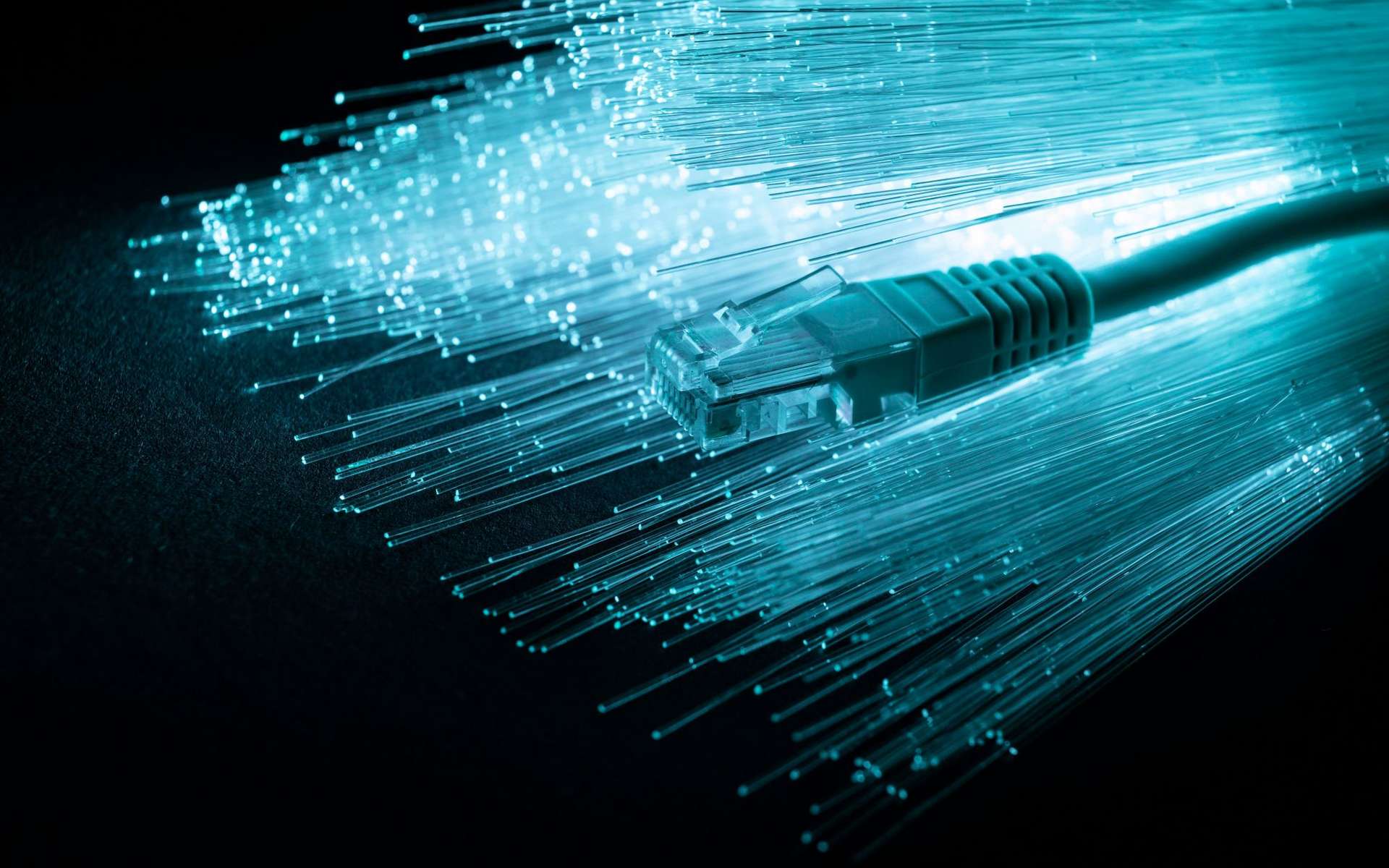 =cavi sottomarini, internet, droni, veicoli subacquei, sicurezza, infrastrutture