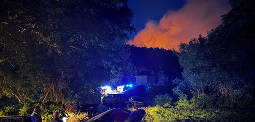 Incendio boschivo, Sassonia, Plauen, vigili del fuoco, emergenza