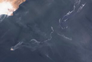 разлив нефти Оман, экология, морские экосистемы, танкер